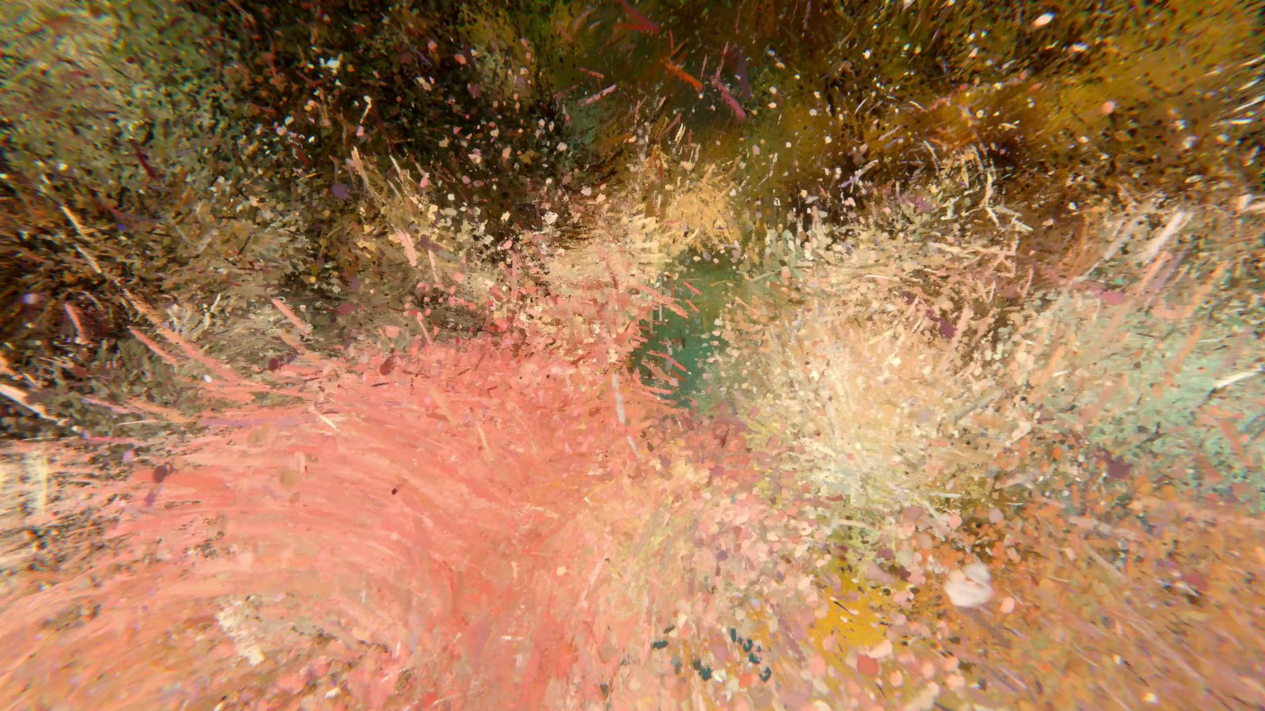 Memory of Degas No.1